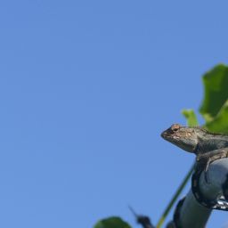 Discover the Best Taxi Services in Mauritius: Your Ultimate Guide to Exploring Paradise on Four Wheels | Taxi Mauritius Guide & Transport Tips 4 Discover the Best Taxi Services in Mauritius: Your Ultimate Guide to Exploring Paradise on Four Wheels | Taxi Mauritius Guide & Transport Tips