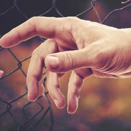 Discover Paradise: Your Ultimate 7-Day Mauritius Itinerary for Unforgettable Adventures 10 Discover Paradise: Your Ultimate 7-Day Mauritius Itinerary for Unforgettable Adventures