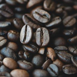 Discover the Top 10 Best Beaches in Mauritius: Your Ultimate Guide to Paradise 9 Discover the Top 10 Best Beaches in Mauritius: Your Ultimate Guide to Paradise