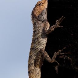 Exploring Mauritius: Your Ultimate Guide to Getting Around the Island with Ease | Taxi Mauritius Guide & Transport Tips 11 Exploring Mauritius: Your Ultimate Guide to Getting Around the Island with Ease | Taxi Mauritius Guide & Transport Tips