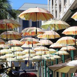 Ultimate Mauritius Travel Tips: Explore the Hidden Gems of Paradise Island! | Taxi Mauritius Guide & Transport Tips 3 Ultimate Mauritius Travel Tips: Explore the Hidden Gems of Paradise Island! | Taxi Mauritius Guide & Transport Tips