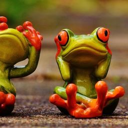 Unlock Paradise: The Ultimate Mauritius Vacation Guide for Unforgettable Experiences 11 Unlock Paradise: The Ultimate Mauritius Vacation Guide for Unforgettable Experiences