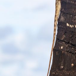 Your Ultimate Guide to Reliable Airport Taxi Services in Mauritius: Seamless Transfers from Sir Seewoosagur Ramgoolam International Airport | Taxi Mauritius Guide & Transport Tips 1 Your Ultimate Guide to Reliable Airport Taxi Services in Mauritius: Seamless Transfers from Sir Seewoosagur Ramgoolam International Airport | Taxi Mauritius Guide & Transport Tips