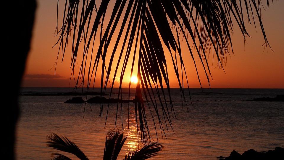Discover Why MoKabb Mauritius is the #1 Taxi App in Google Play Store: Your Ultimate Travel Companion in Mauritius! 5 Discover the Best Hotels in Mauritius: Your Ultimate Guide to Luxury Stays, Convenient Airport Transfers, and Easy Taxi Services for Unforgettable Getaways!