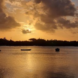 The Ultimate Guide to Smooth Hotel Transfers in Mauritius | Taxi Mauritius Guide & Transport Tips 4 The Ultimate Guide to Smooth Hotel Transfers in Mauritius | Taxi Mauritius Guide & Transport Tips