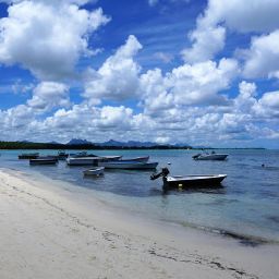 Discover the Magic of Grand Baie: Your Ultimate Travel Guide | Taxi Mauritius Guide & Transport Tips 15 Discover the Magic of Grand Baie: Your Ultimate Travel Guide | Taxi Mauritius Guide & Transport Tips