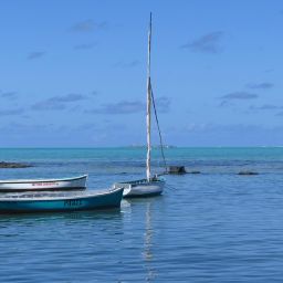 Top 10 Must-Know Tips for Booking a Ride in Mauritius | Taxi Mauritius Guide & Transport Tips 14 Top 10 Must-Know Tips for Booking a Ride in Mauritius | Taxi Mauritius Guide & Transport Tips