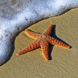 Top 10 Things to Do in Mauritius: Your Essential Travel Guide 2 Top 10 Things to Do in Mauritius: Your Essential Travel Guide